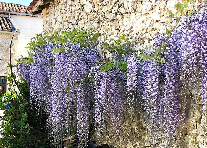 Les Des Chats - Reservation De La Maison Des Chats Et De La Grange *